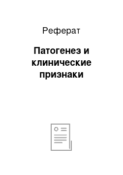 Реферат: Патогенез и клинические признаки