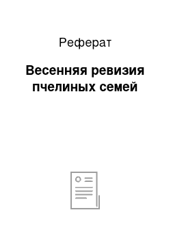 Реферат: Весенняя ревизия пчелиных семей