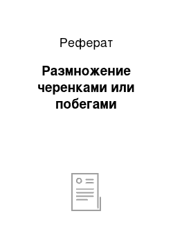 Реферат: Размножение черенками или побегами