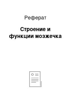 Реферат: Строение и функции мозжечка