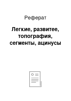 Реферат: Легкие, развитее, топография, сегменты, ацинусы