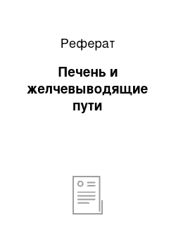 Реферат: Печень и желчевыводящие пути