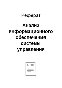 Реферат: Анализ информационного обеспечения системы управления организацией