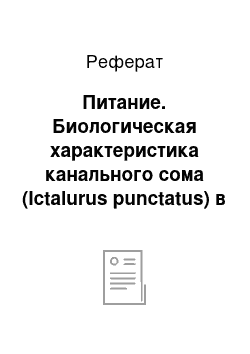 Реферат: Питание. Биологическая характеристика канального сома (Ictalurus punctatus) в озере Старая Кубань