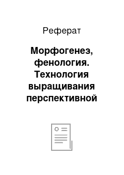 Реферат: Морфогенез, фенология. Технология выращивания перспективной лекарственной культуры эхинацеи пурпурной на юге Казахстана