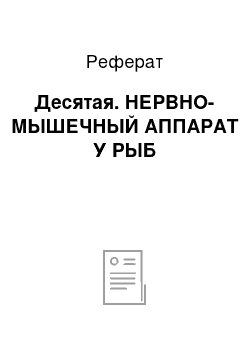 Реферат: Десятая. НЕРВНО-МЫШЕЧНЫЙ АППАРАТ У РЫБ