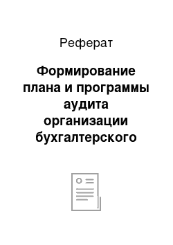 Реферат: Формирование плана и программы аудита организации бухгалтерского учета