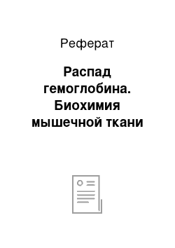 Реферат: Распад гемоглобина. Биохимия мышечной ткани