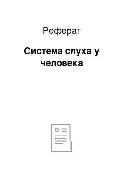 Реферат: Система слуха у человека