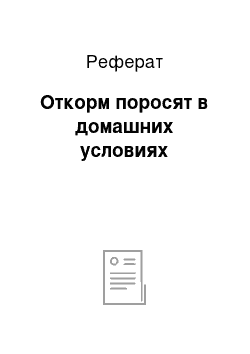 Реферат: Откорм поросят в домашних условиях