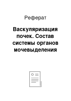 Реферат: Васкуляризация почек. Состав системы органов мочевыделения