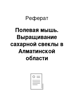 Реферат: Полевая мышь. Выращивание сахарной свеклы в Алматинской области