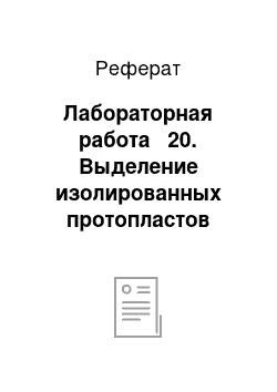 Реферат: Лабораторная работа № 20. Выделение изолированных протопластов