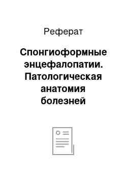 Реферат: Спонгиоформные энцефалопатии. Патологическая анатомия болезней центральной нервной системы