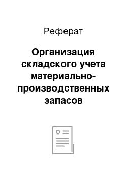 Реферат: Организация складского учета материально-производственных запасов