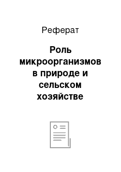 Реферат: Роль микроорганизмов в природе и сельском хозяйстве