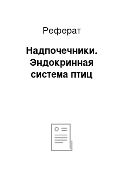 Реферат: Надпочечники. Эндокринная система птиц