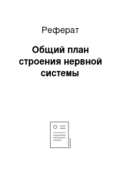 Реферат: Общий план строения нервной системы