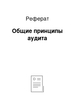 Реферат: Общие принципы аудита