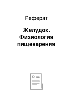 Реферат: Желудок. Физиология пищеварения