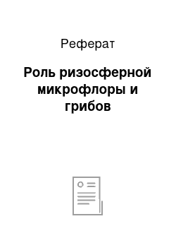 Реферат: Роль ризосферной микрофлоры и грибов