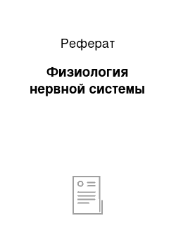 Реферат: Физиология нервной системы