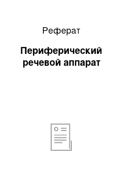 Реферат: Периферический речевой аппарат