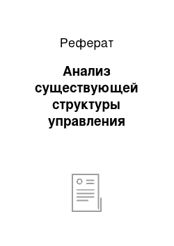 Реферат: Анализ существующей структуры управления