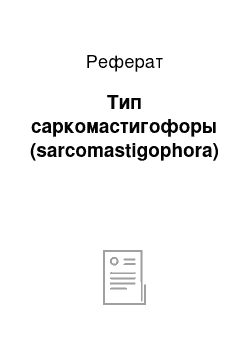 Реферат: Тип саркомастигофоры (sarcomastigophora)