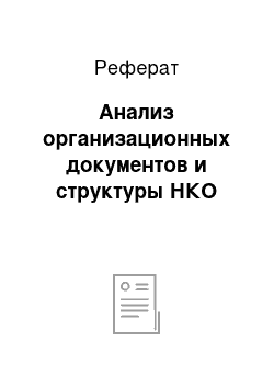 Реферат: Анализ организационных документов и структуры НКО