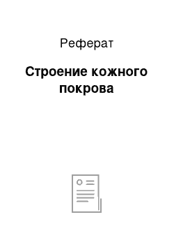 Реферат: Строение кожного покрова