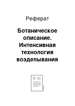 Реферат: Ботаническое описание. Интенсивная технология возделывания гороха в Новосибирской области