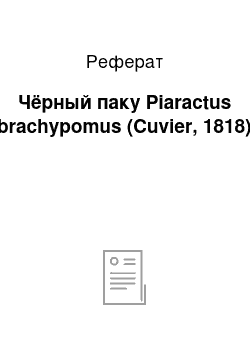 Реферат: Чёрный паку Piaractus brachypomus (Cuvier, 1818)