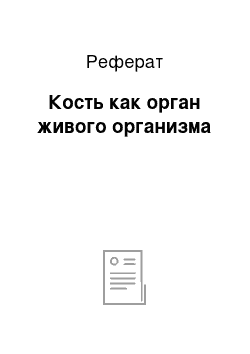 Реферат: Кость как орган живого организма