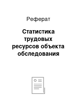 Реферат: Статистика трудовых ресурсов объекта обследования