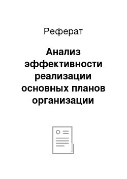 Реферат: Анализ эффективности реализации основных планов организации