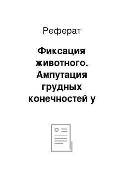 Реферат: Фиксация животного. Ампутация грудных конечностей у мелких непродуктивных животных