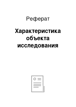 Реферат: Характеристика объекта исследования