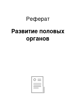 Реферат: Развитие половых органов