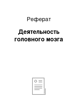 Реферат: Деятельность головного мозга