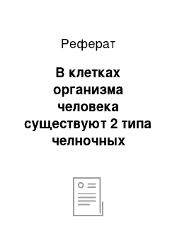 Реферат: В клетках организма человека существуют 2 типа челночных механизмов