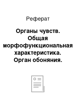 Реферат: Органы чувств. Общая морфофункциональная характеристика. Орган обоняния. Строение, развитие и цитофизиология