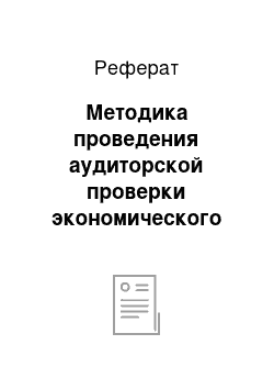 Реферат: Методика проведения аудиторской проверки экономического субъекта