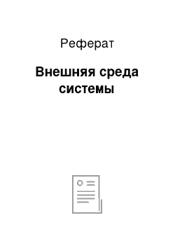 Реферат: Внешняя среда системы