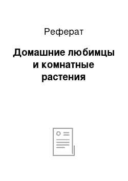 Реферат: Домашние любимцы и комнатные растения