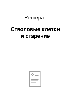 Реферат: Стволовые клетки и старение