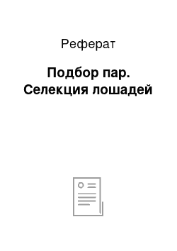 Реферат: Подбор пар. Селекция лошадей