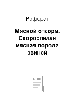 Реферат: Мясной откорм. Скороспелая мясная порода свиней