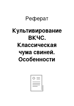 Реферат: Культивирование ВКЧС. Классическая чума свиней. Особенности проявления и специфическая профилактика