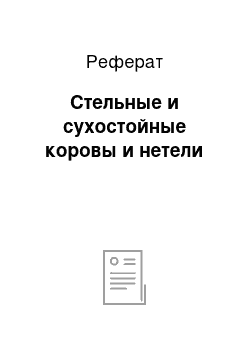 Реферат: Стельные и сухостойные коровы и нетели